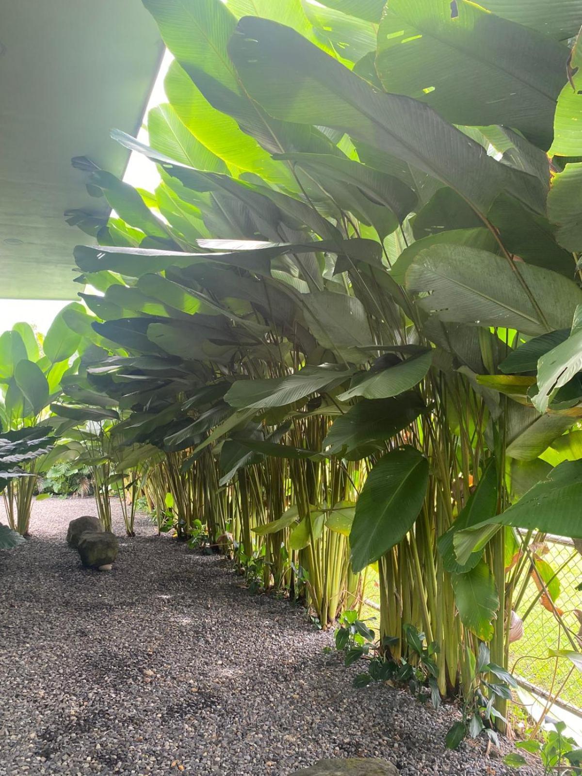 Toucan Home La Fortuna Екстериор снимка