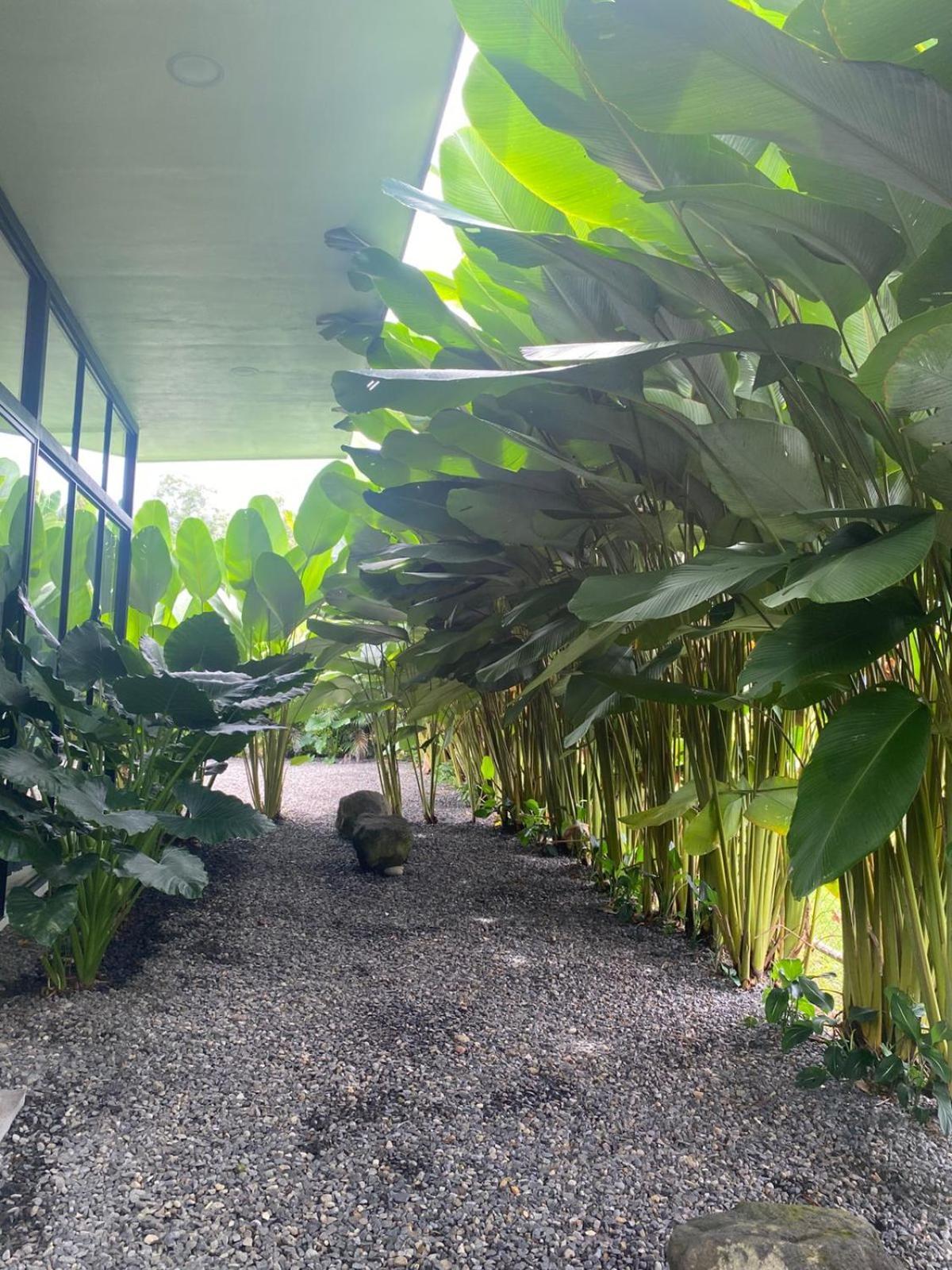 Toucan Home La Fortuna Екстериор снимка
