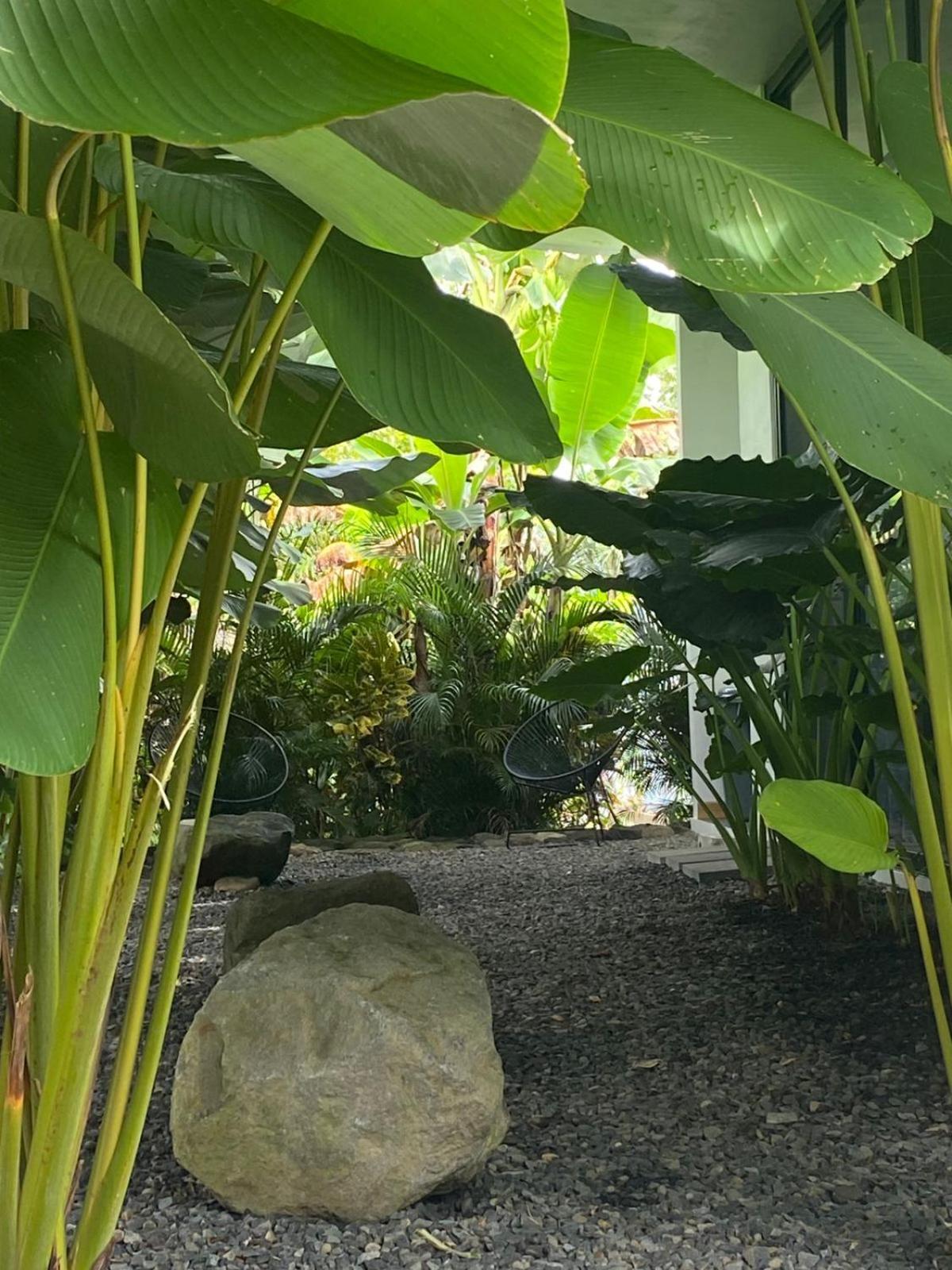 Toucan Home La Fortuna Екстериор снимка